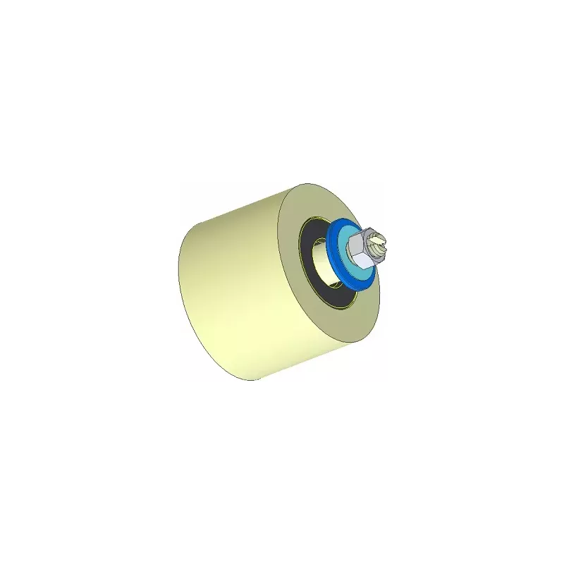 Rouleau n° 293 – rouleau porteur en plastique Ø80 mm pour machines Dewulf | OEM Dewulf 2660226 | fabricant KiJ
