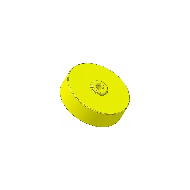 Rouleau n° 317 – rouleau en plastique Ø100 mm pour machines Guaresi | OEM Guaresi P7755190000 | fabricant KiJ